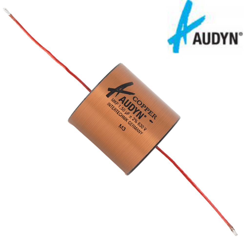 Audyn True Copper Capacitors