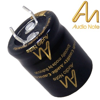 500v 22uf capacitor electrolytic 22u