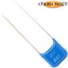 CA1D 13PF: 13pF 500Vdc Charcroft Audio Silver Mica Capacitor