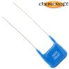 CA1D 2PF: 2pF 500Vdc Charcroft Audio Silver Mica Capacitor