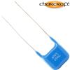 CA1D 7500PF: 7500pF 500Vdc Charcroft Audio Silver Mica Capacitor